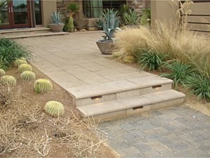 Modern Garden Step 2